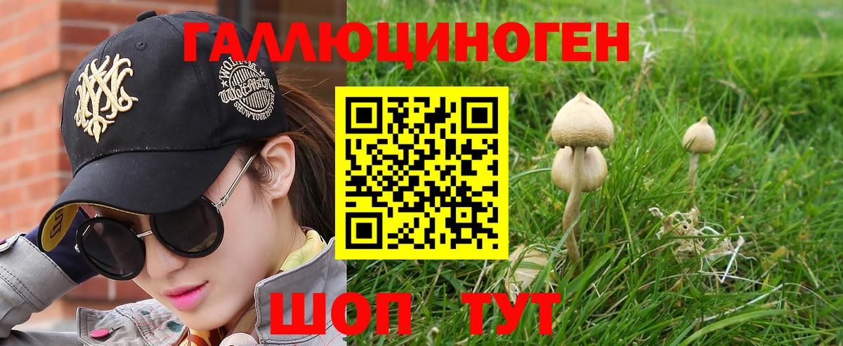 Галлюциногенные грибы Cubensis  Вход с VPN  Сарапул  Галлюциногенные грибы Psilocybe 