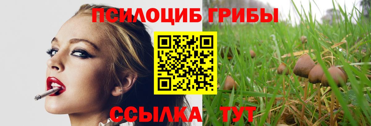 Псилоцибиновые грибы Cubensis Сарапул